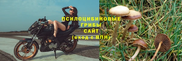 бошки Надым