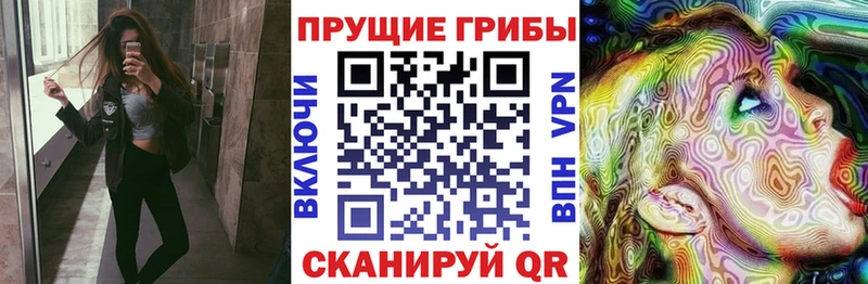 Купить закладки  Кисловодск  Галлюциногенные грибы прущие грибы 